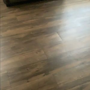 Meet your Posher, Bella